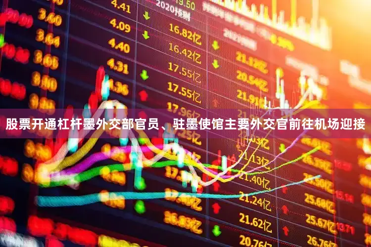 股票开通杠杆墨外交部官员、驻墨使馆主要外交官前往机场迎接