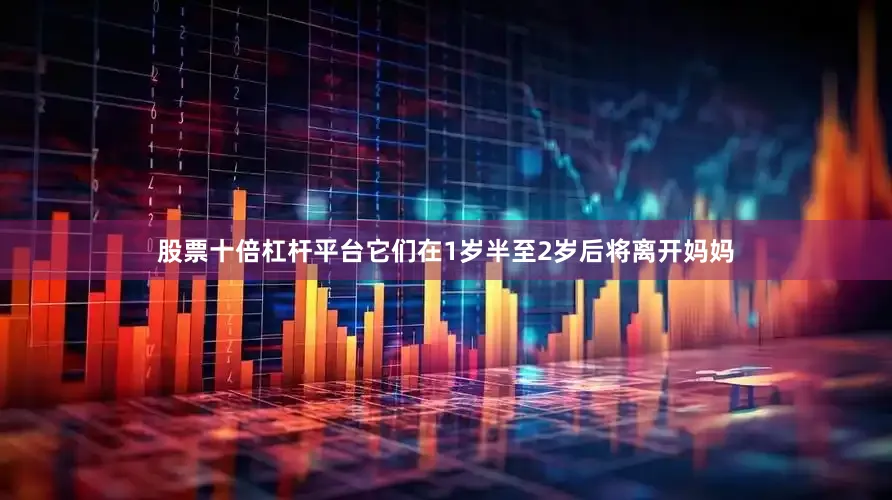 股票十倍杠杆平台它们在1岁半至2岁后将离开妈妈