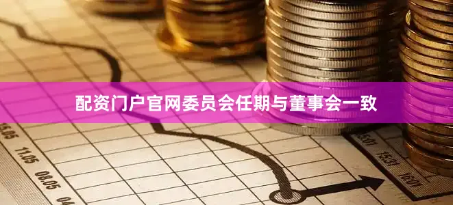 配资门户官网委员会任期与董事会一致