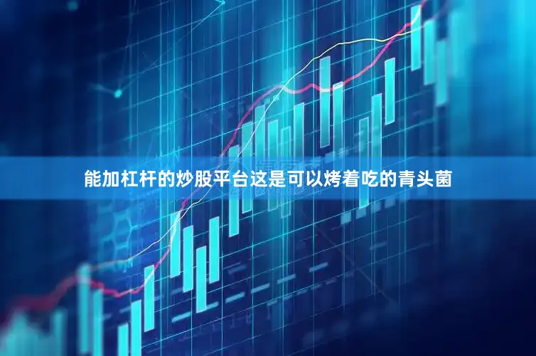 能加杠杆的炒股平台这是可以烤着吃的青头菌
