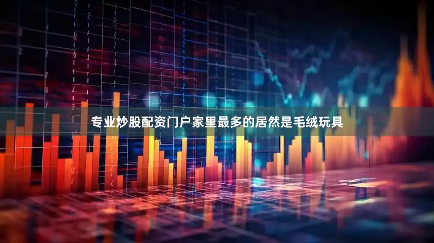 专业炒股配资门户家里最多的居然是毛绒玩具