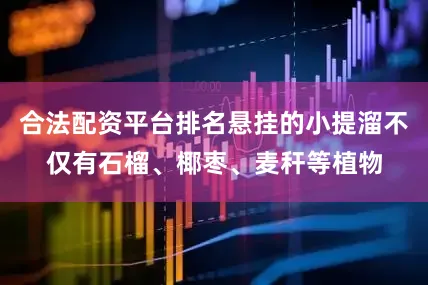 合法配资平台排名悬挂的小提溜不仅有石榴、椰枣、麦秆等植物