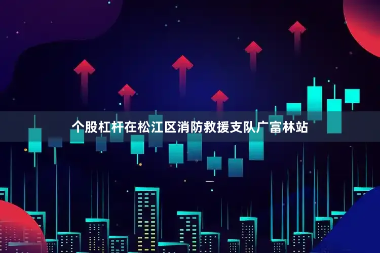个股杠杆在松江区消防救援支队广富林站
