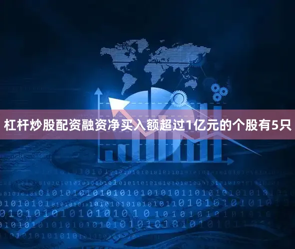 杠杆炒股配资融资净买入额超过1亿元的个股有5只