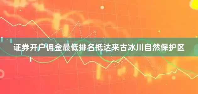 证券开户佣金最低排名抵达来古冰川自然保护区
